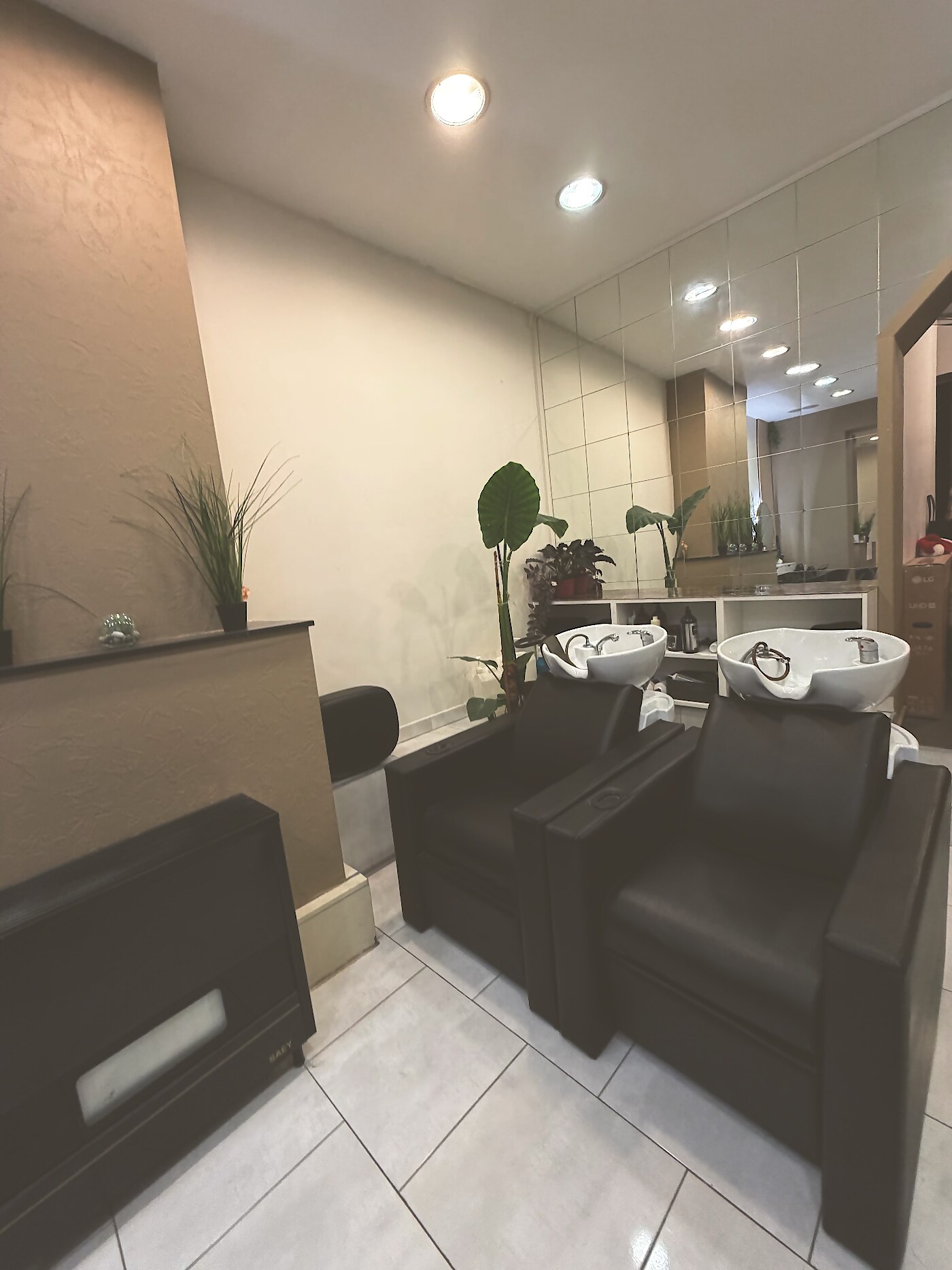 Espace bacs de lavage du salon